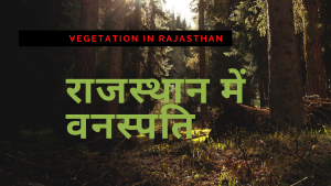 राजस्थान में वनस्पति