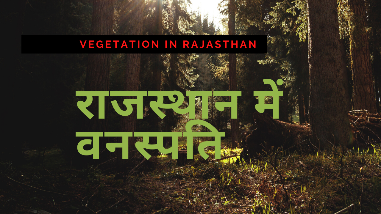 You are currently viewing राजस्थान में वनस्पति (Vegetation in Rajasthan)